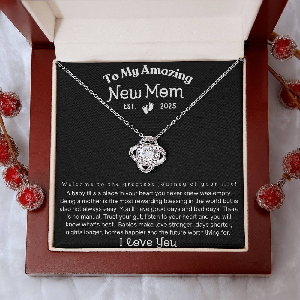 To My Amazing New Mom, Est. 2025, Mom Gift's Gift's For Mom