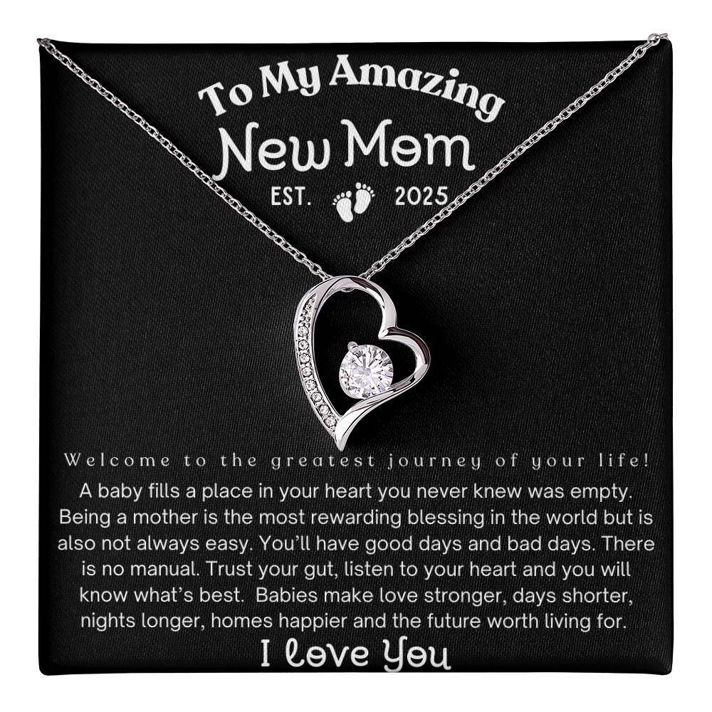 To My Amazing New Mom, Est. 2025, Mom Gift's Gift's For Mom