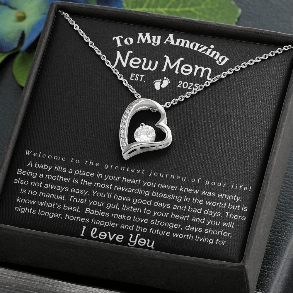 To My Amazing New Mom, Est. 2025, Mom Gift's Gift's For Mom