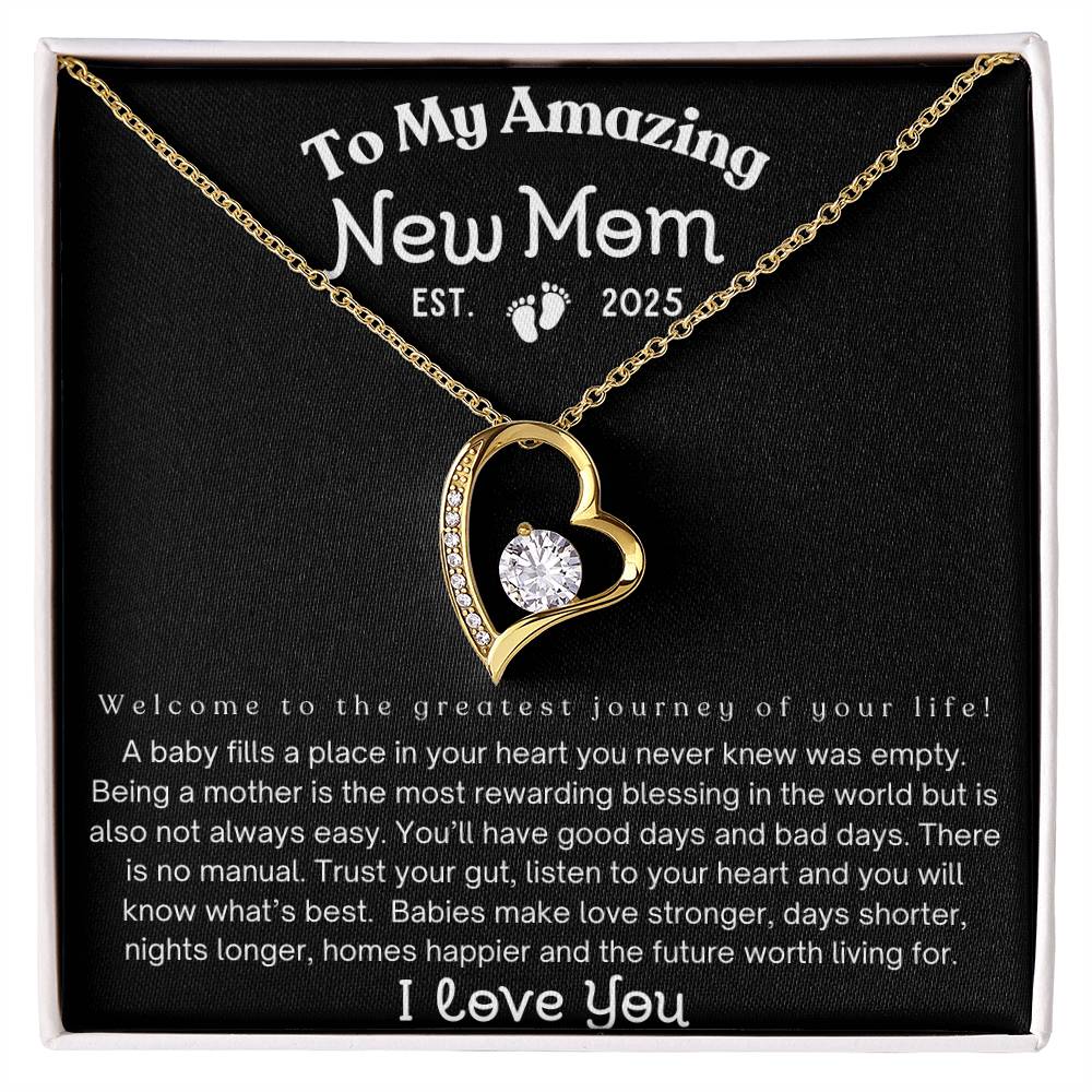 To My Amazing New Mom, Est. 2025, Mom Gift's Gift's For Mom