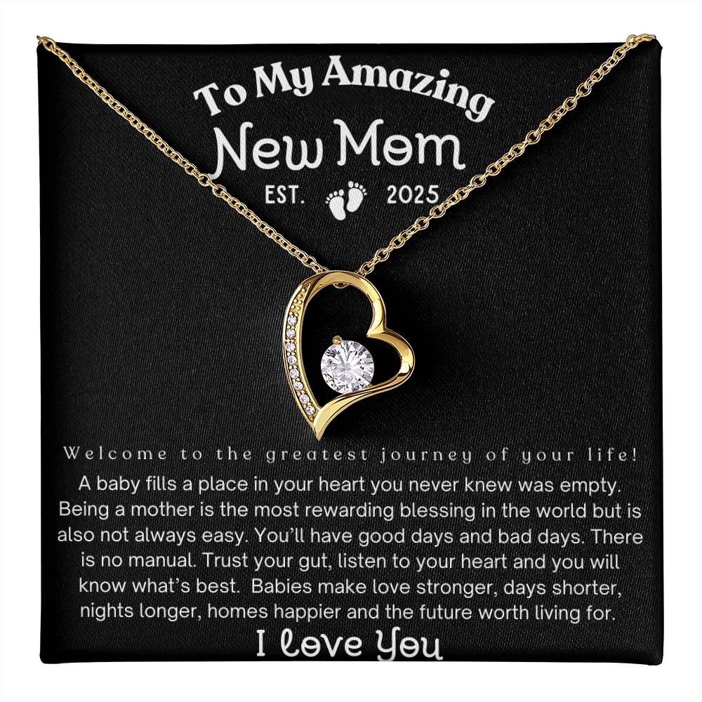 To My Amazing New Mom, Est. 2025, Mom Gift's Gift's For Mom