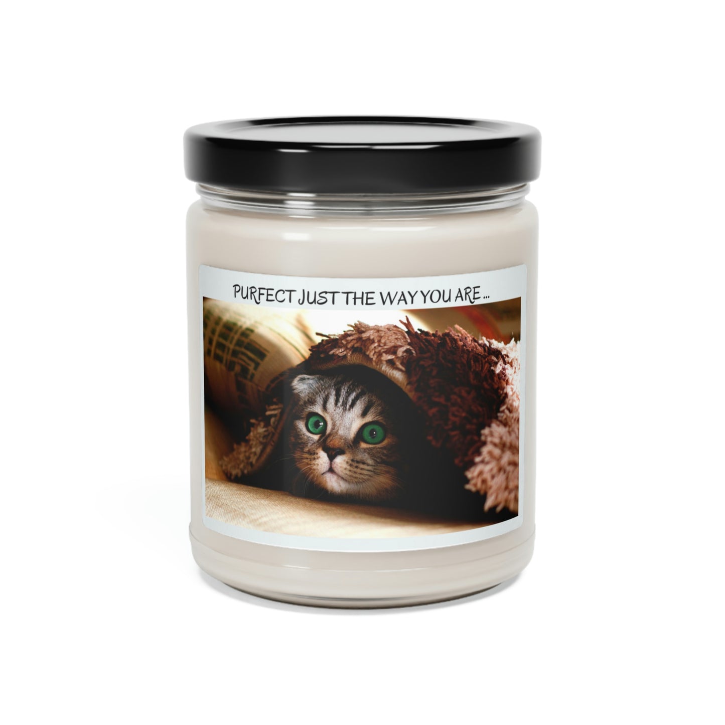 Just the way you are ... Cats /Scented Soy Candle, 9oz