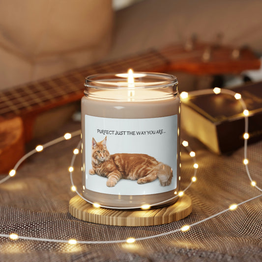 Purfect just the way you are ...Scented Soy Candle, 9oz