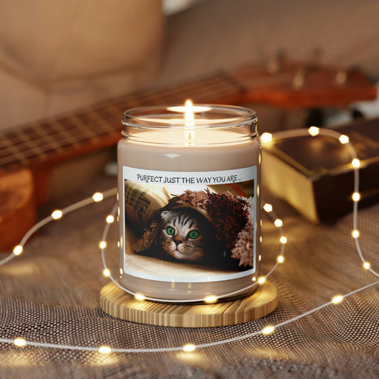 Just the way you are ... Cats /Scented Soy Candle, 9oz