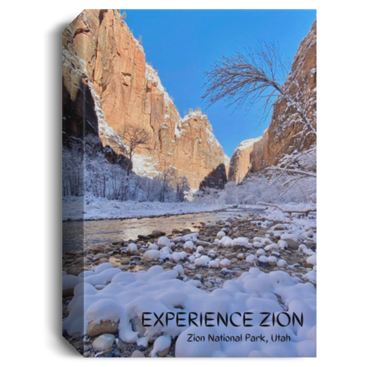 Zion National Park / Deluxe Portrait Canvas