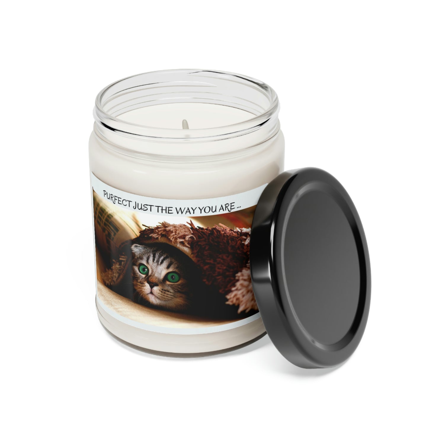 Just the way you are ... Cats /Scented Soy Candle, 9oz